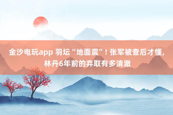 金沙电玩app 羽坛“地面震”! 张军被查后才懂， 林丹6年前的弃取有多清澈