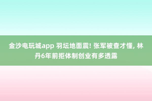 金沙电玩城app 羽坛地面震! 张军被查才懂, 林丹6年前拒体制创业有多透露
