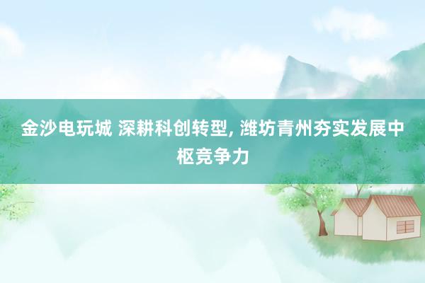 金沙电玩城 深耕科创转型， 潍坊青州夯实发展中枢竞争力