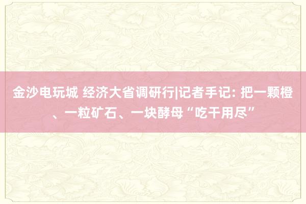 金沙电玩城 经济大省调研行|记者手记: 把一颗橙、一粒矿石、一块酵母“吃干用尽”