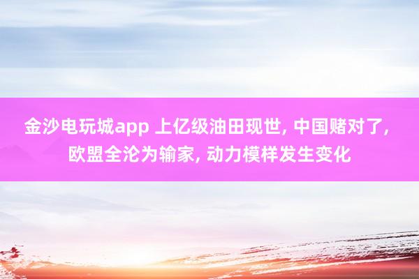 金沙电玩城app 上亿级油田现世， 中国赌对了， 欧盟全沦为输家， 动力模样发生变化
