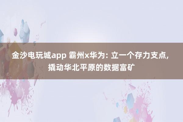 金沙电玩城app 霸州x华为: 立一个存力支点， 撬动华北平原的数据富矿