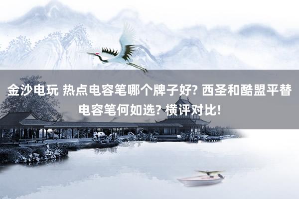 金沙电玩 热点电容笔哪个牌子好? 西圣和酷盟平替电容笔何如选? 横评对比!