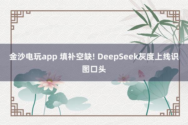 金沙电玩app 填补空缺! DeepSeek灰度上线识图口头