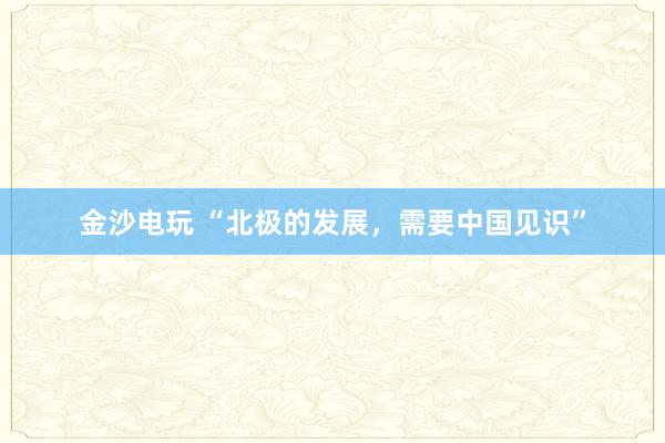 金沙电玩 “北极的发展，需要中国见识”
