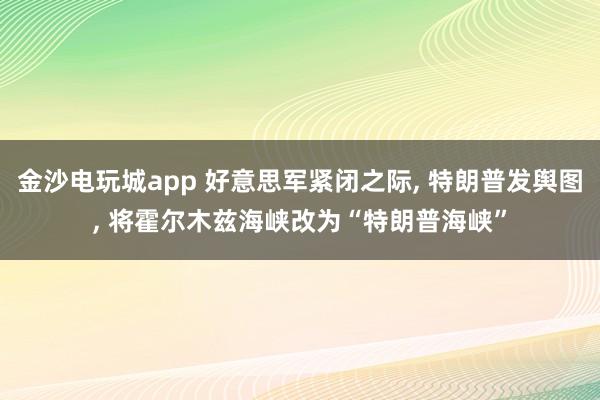 金沙电玩城app 好意思军紧闭之际, 特朗普发舆图, 将霍尔木兹海峡改为“特朗普海峡”