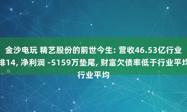 金沙电玩 精艺股份的前世今生: 营收46.53亿行业排14, 净利润 -5159万垫尾, 财富欠债率低于行业平均