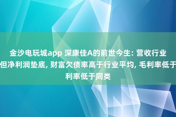 金沙电玩城app 深康佳A的前世今生: 营收行业第四但净利润垫底, 财富欠债率高于行业平均, 毛利率低于同类