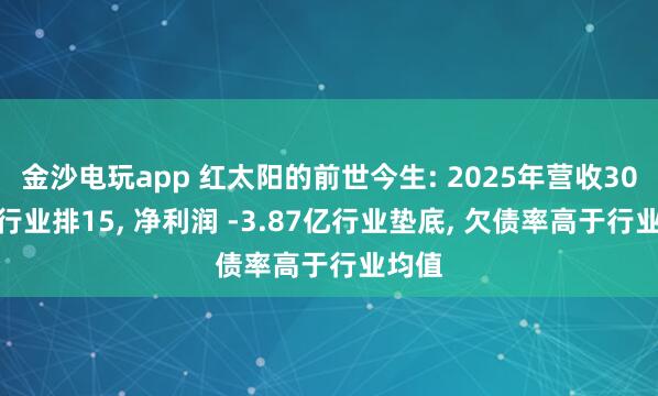 金沙电玩app 红太阳的前世今生: 2025年营收30.8亿行业排15, 净利润 -3.87亿行业垫底, 欠债率高于行业均值