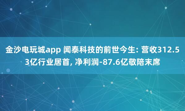 金沙电玩城app 闻泰科技的前世今生: 营收312.53亿行业居首, 净利润-87.6亿敬陪末席