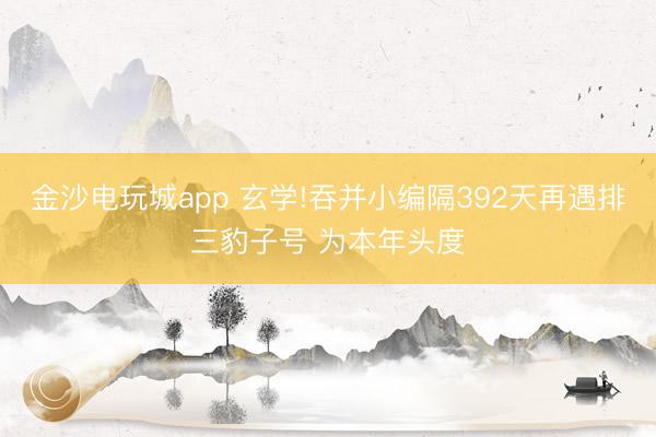 金沙电玩城app 玄学!吞并小编隔392天再遇排三豹子号 为本年头度