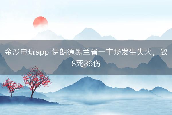 金沙电玩app 伊朗德黑兰省一市场发生失火，致8死36伤